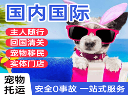 忻州五台山机场快运国际宠物托运 【国